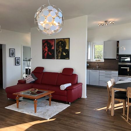 A&N Prestige Apartments "Attika" Close To Basel And Rhine River Гренцах-Вюлен Екстериор снимка