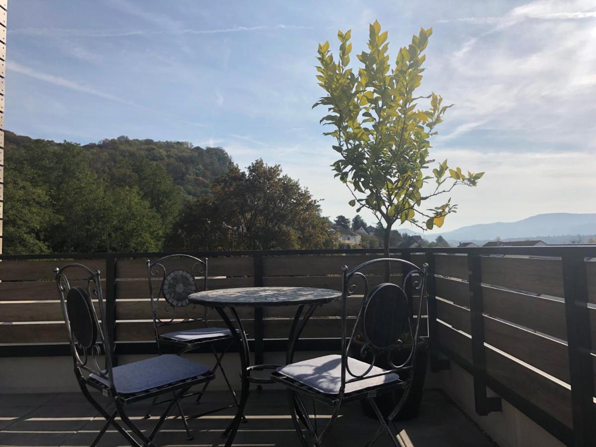 A&N Prestige Apartments "Attika" Close To Basel And Rhine River Гренцах-Вюлен Екстериор снимка
